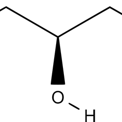 Carnitina