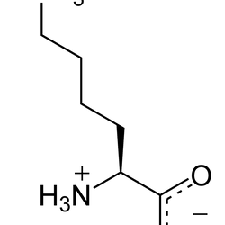L- lisina
