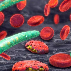 Parásitos intestinales