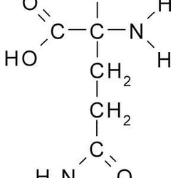 Glutamina
