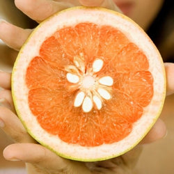 Semilla de Pomelo
