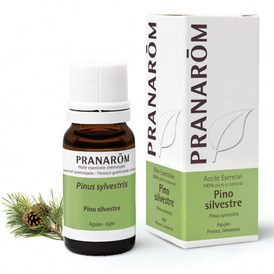 Aceite Esencial Pino Silvestre