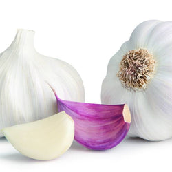 Ajo