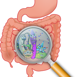 Limpieza intestinal