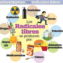 Antioxidantes-Radicales libres