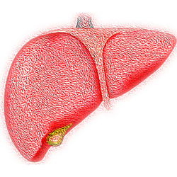 Detoxificación o Limpieza Hepática