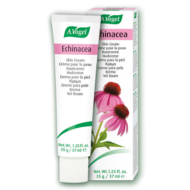 Crema Echinacea