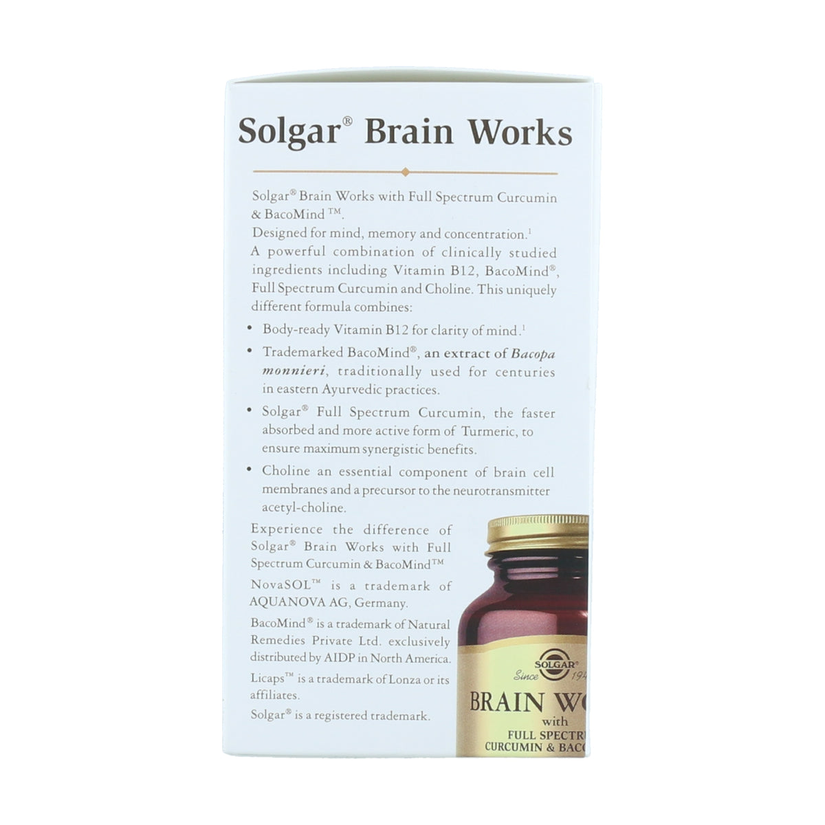 Brain Works con Full Spectrum Cúrcuma y BacoMind