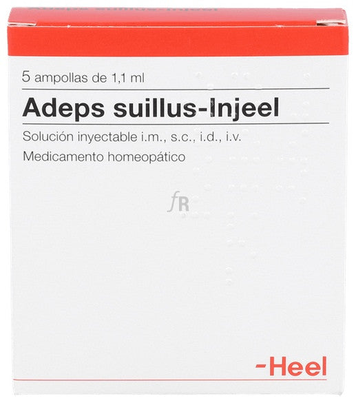 Adeps suillus-Injeel