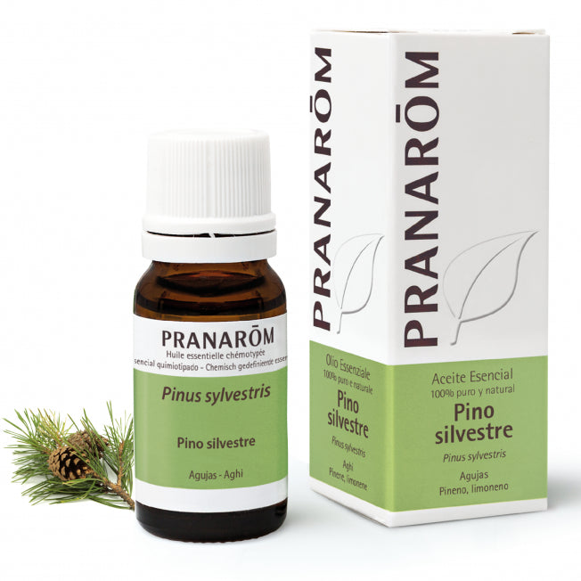 Aceite Esencial Pino Silvestre