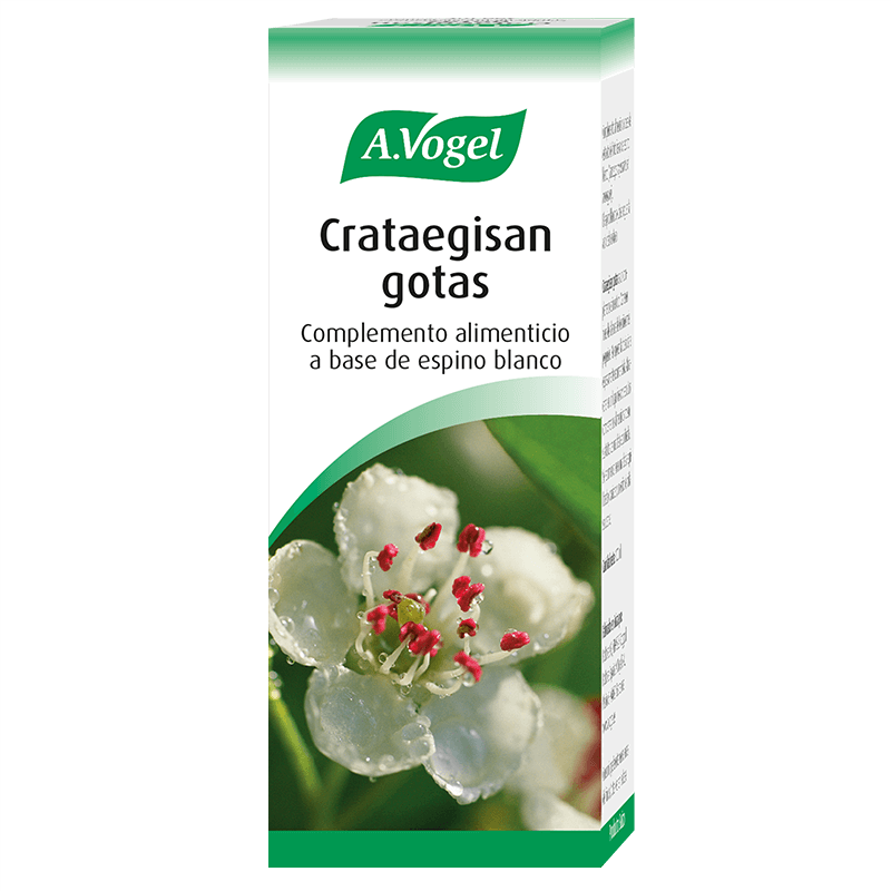 Catraegisan