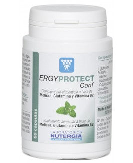 Ergyprotect Conf
