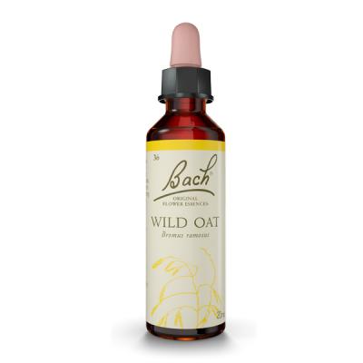 Wild Oat (Avena Silvestre)