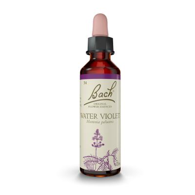 Water Violet (Violeta de Agua)