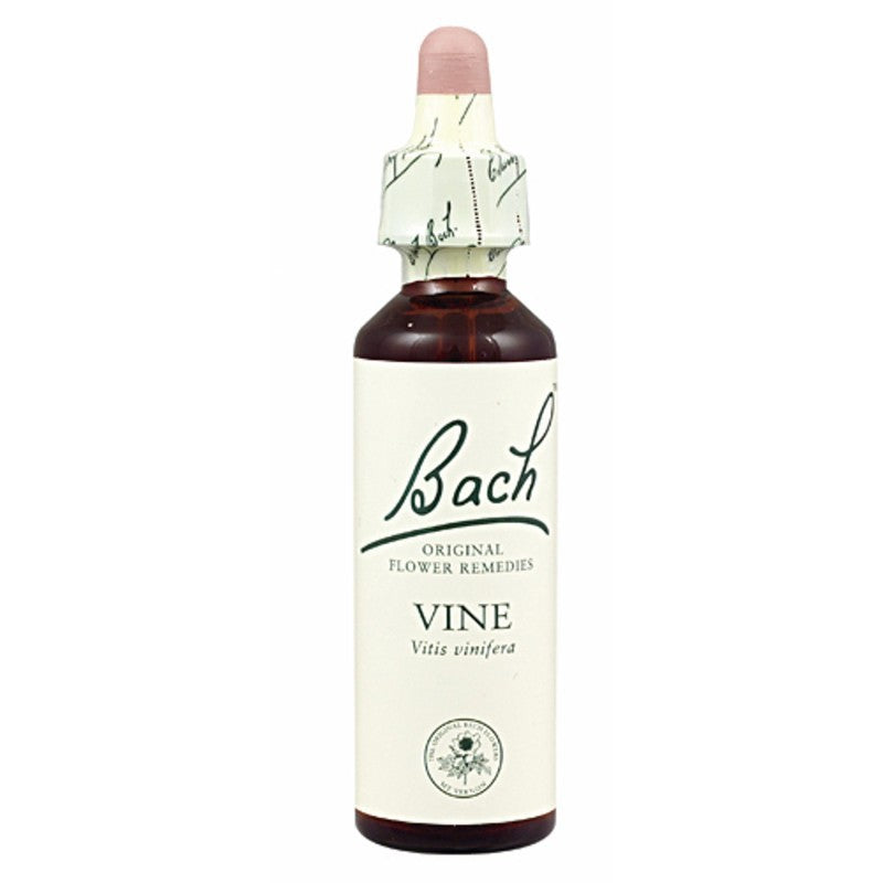 Vine (Vid)