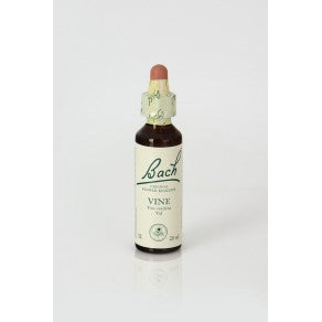 Vine (Vid)
