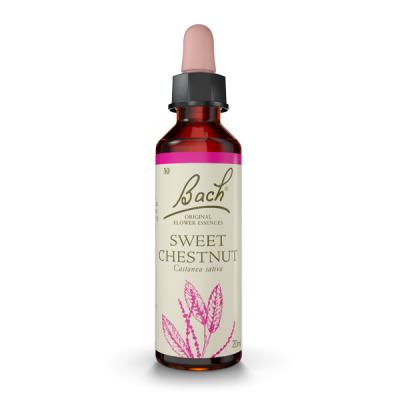 Sweet Chestnut (Castaño Dulce)