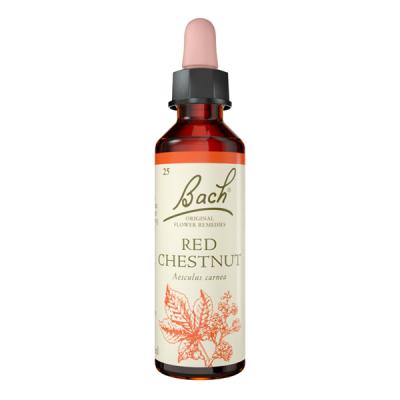 Red Chestnut (Castaño rojo)