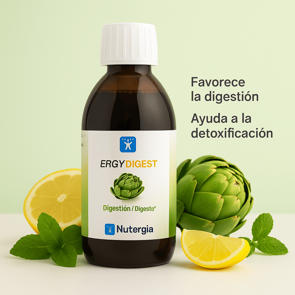 Ergydigest