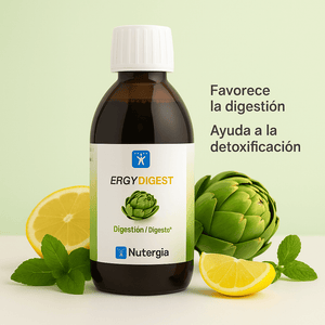 Ergydigest