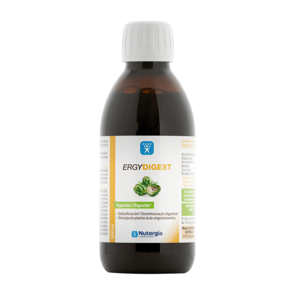 Ergydigest