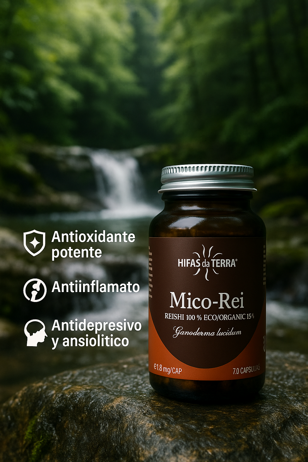 Mico Rei