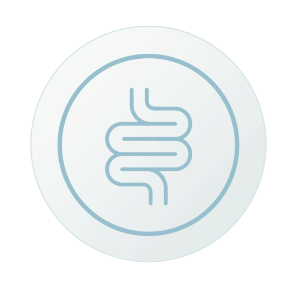 KyberBioma Test Disbiosis intestinal