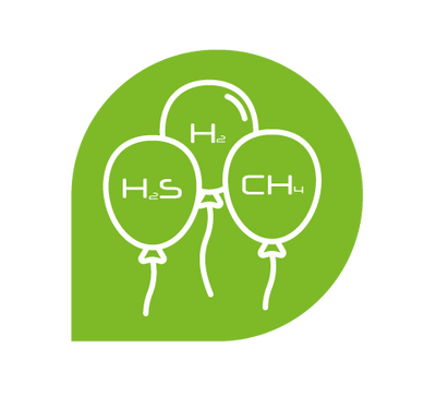 Test SIBO: hidrogeno, metano y sulfuro