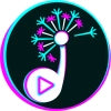 VIDEOS CORTOS