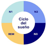 FASES del SUEÑO