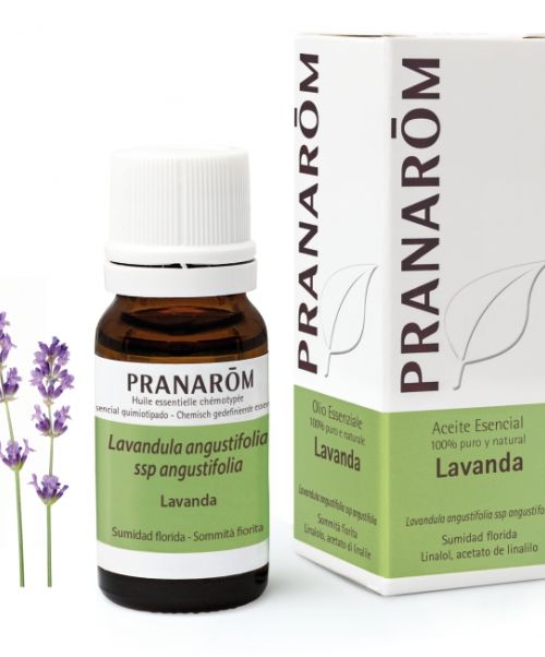 Aceite Esencial Lavanda - - Relajante, ansiolítico, antidepresivo- Regulador del sistema nervioso- Antiespasmódico- Antinflamatório y analgésico- Antibacteriano y antisépticoConocido por sus propiedades relajantes, está indicado para tratar el estrés, los problemas de sueño, la ansiedad o la angustia, así como alteraciones de origen nervioso del tipo de espasmos digestivos, naúseas o migrañas.