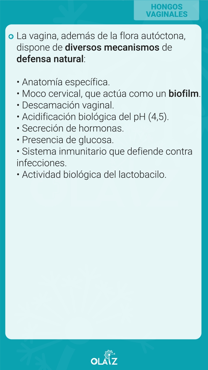 Tratamiento natural hongos vaginales y candida | Farmacia Olaiz