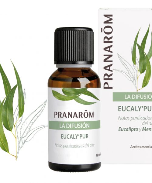 La difusión Eucaly’Pur - Frescor aéreo y verde característico de los eucaliptos para purificar el aire.