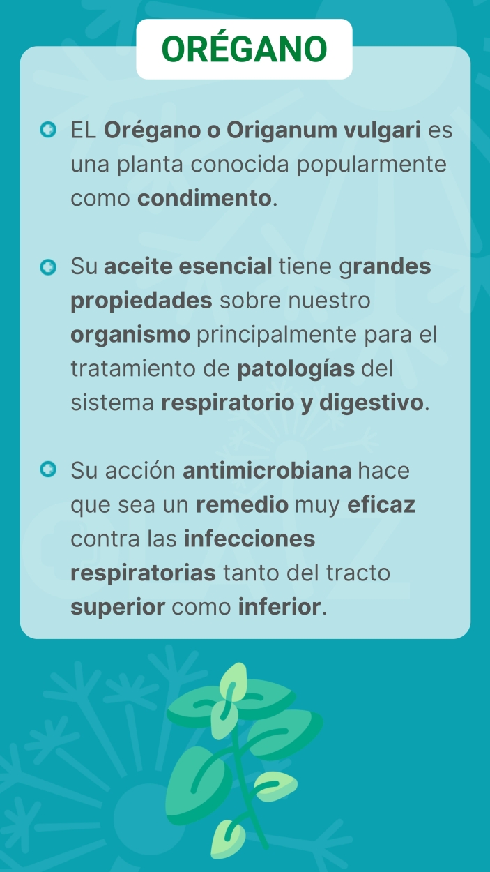 CÁPSULAS ORÉGANO + bio-infección respiratoria-digestivo - infecciones