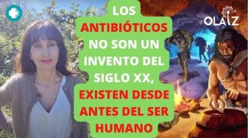 - Potente cicatrizante, usado habitualmente para tratar las úlceras. - Tónico cutáneo, reafirmante y anti-edad, suele ser usado tambien en cosmética.