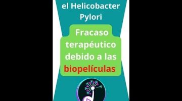 Indicado para problemas de reflujo y acidez de estomago por su alto contenido en propóleo amarillo francés y algarroba ecológica