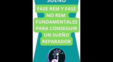 Ayuda a conciliar el sueño con melatonina y extractos de plantas relajantes. Gracias a su fórmula bicapa, sus ingredientes se liberen a medida que son necesarios.